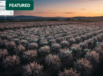 Autonomous Pollination Drones